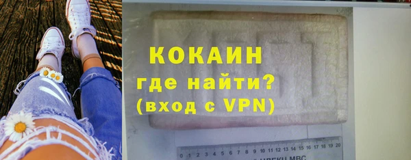 прущие грибы Богородицк