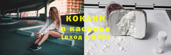 прущие грибы Богородицк
