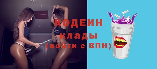 прущие грибы Богородицк