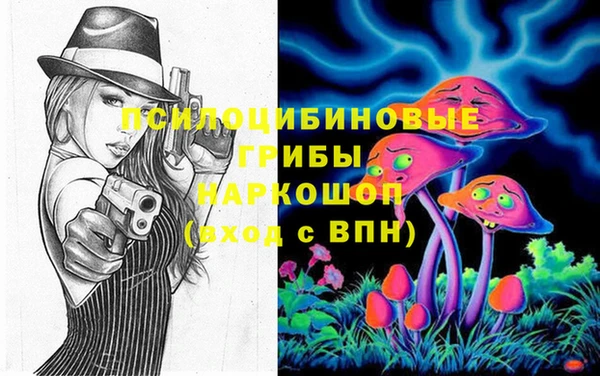 герыч Бронницы