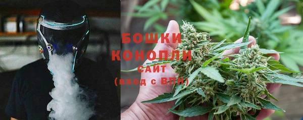PSILOCYBIN Бугульма