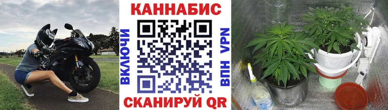 дарк нет Telegram  Белая Холуница  Каннабис индика  наркота  гидра маркетплейс 